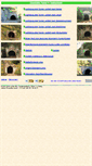 Mobile Screenshot of eisenbahn-tunnel-info.de